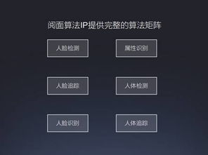 rockchip 瑞芯微電子股份
